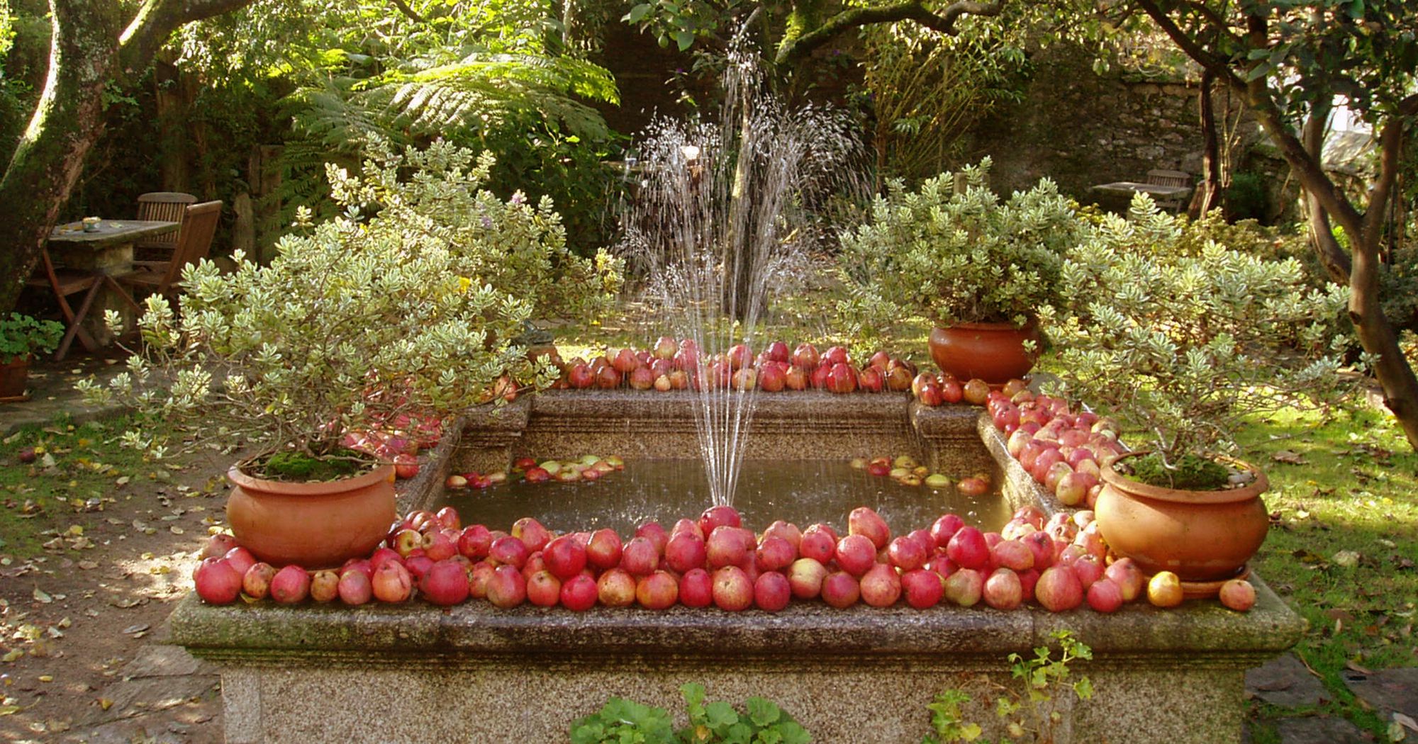 Jardín Costa Vella 4