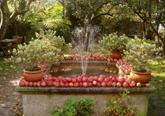 Jardín Costa Vella 4